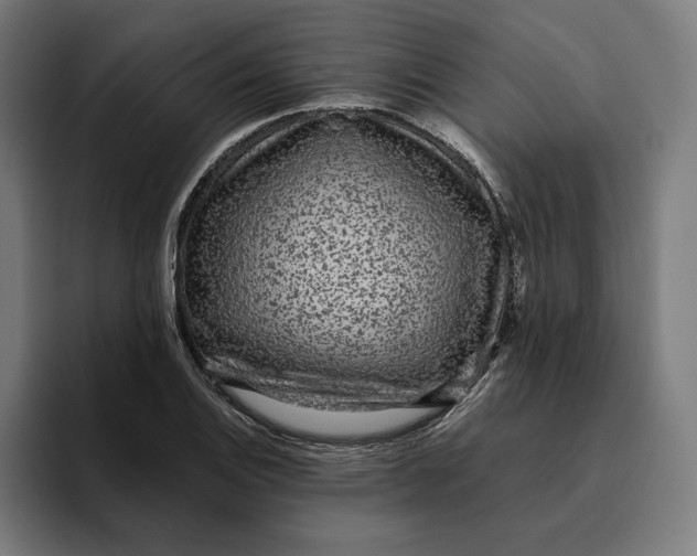 X0000094821124200712071240