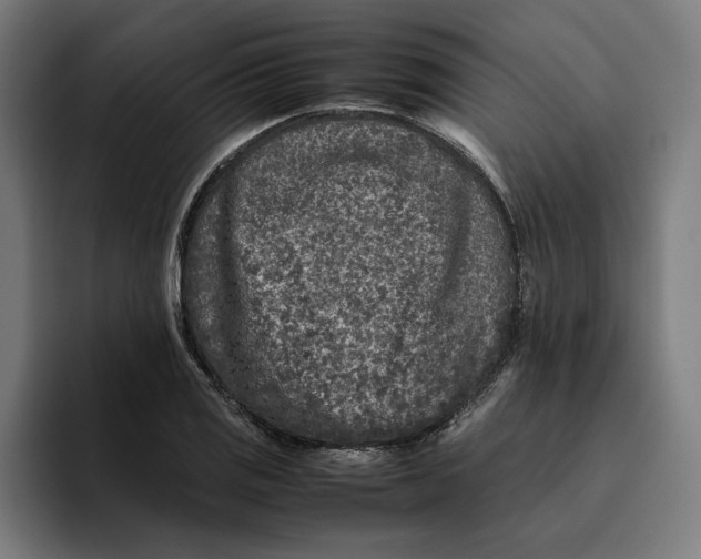 X0000094821125200712071240