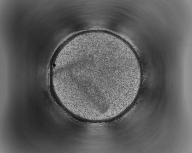 X0000094821126200712071240