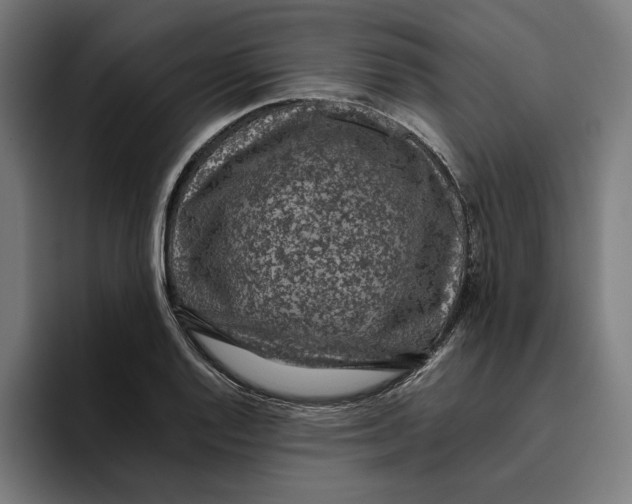 X0000094821128200712071240