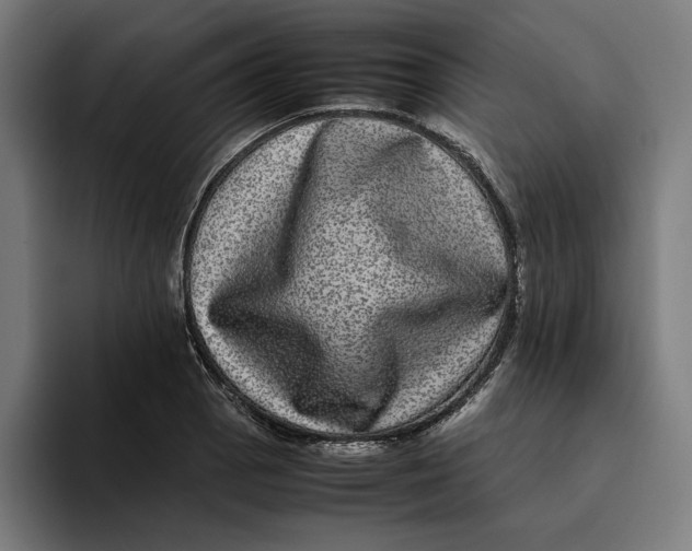 X0000094821129200712071240