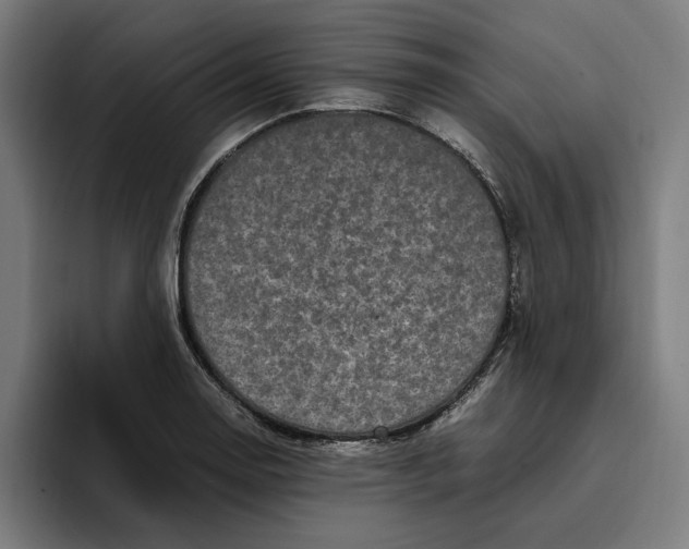 X0000094821130200712071240