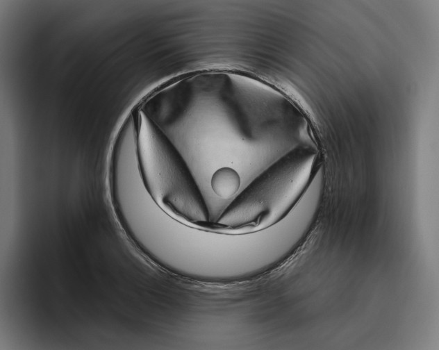 X0000094821132200712071240