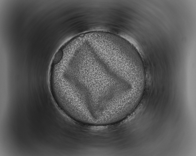 X0000094821135200712071240