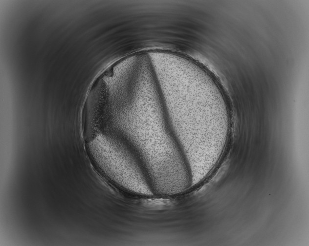 X0000094821137200712071240