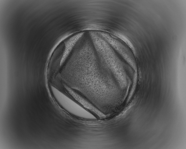 X0000094821138200712071240