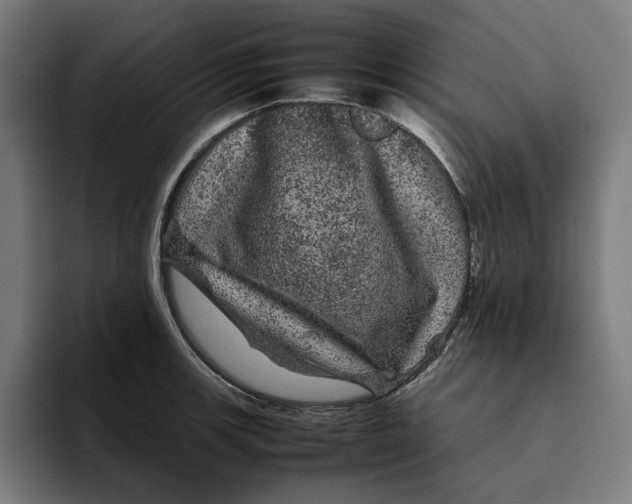 X0000094821139200712071240