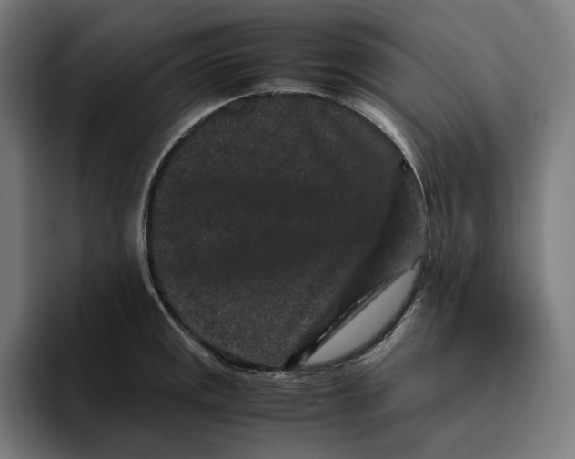 X0000094821141200712071240