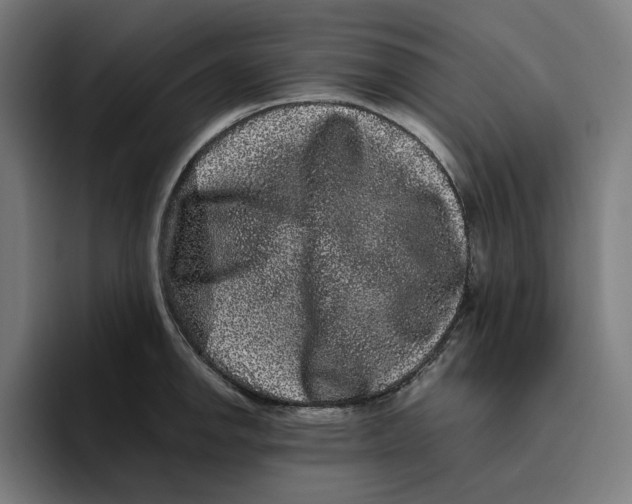 X0000094821142200712071240