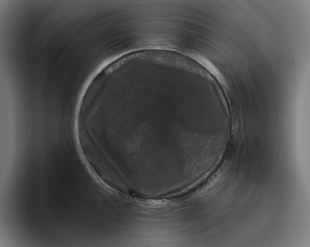 X0000094821144200712071240