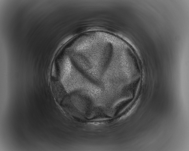 X0000094821145200712071240