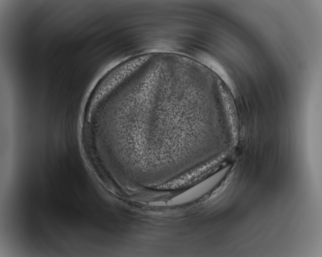 X0000094821146200712071240