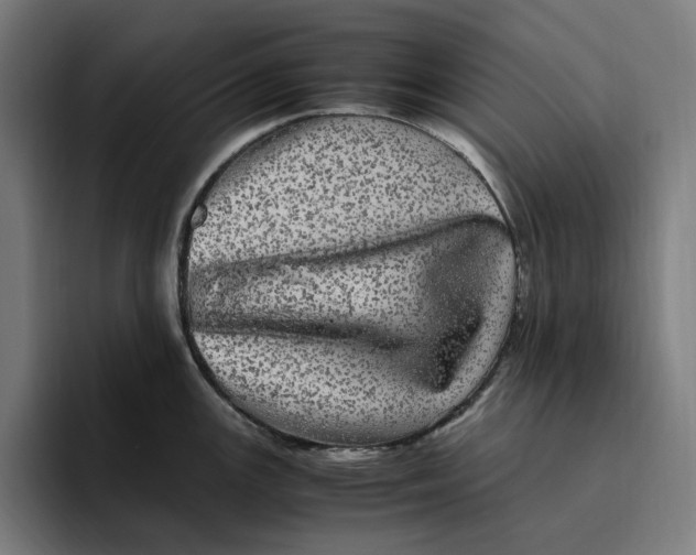 X0000094821147200712071240