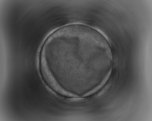 X0000094821151200712071241