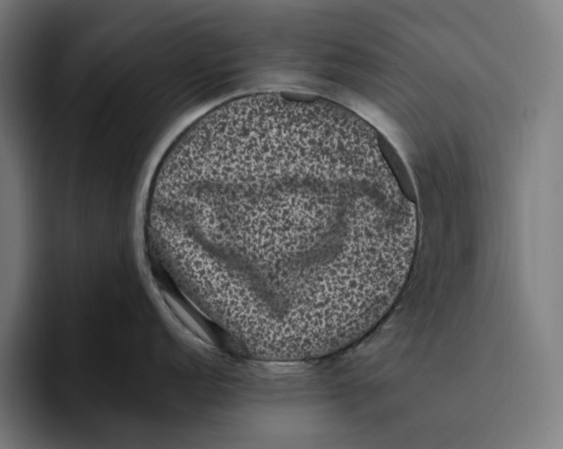 X0000094821152200712071241