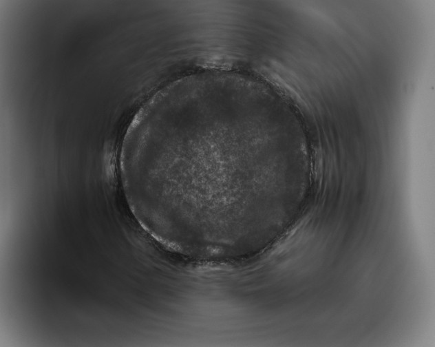 X0000094821154200712071240