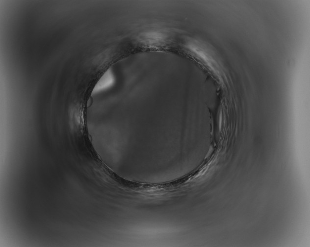 X0000094821155200712071240