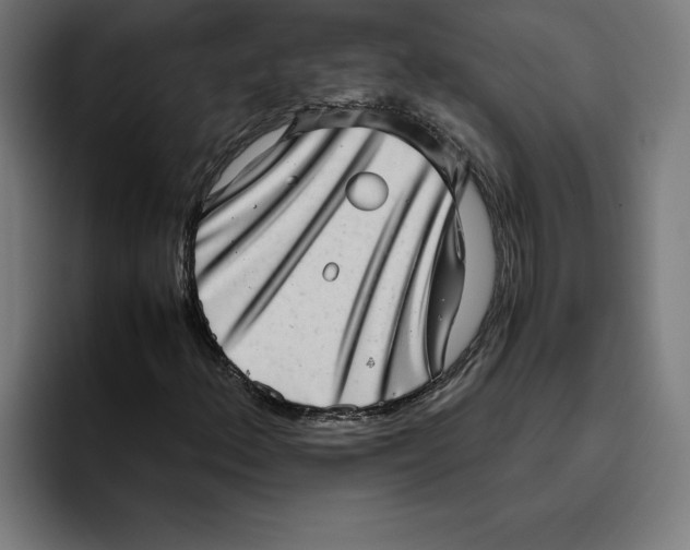 X0000094821156200712071240