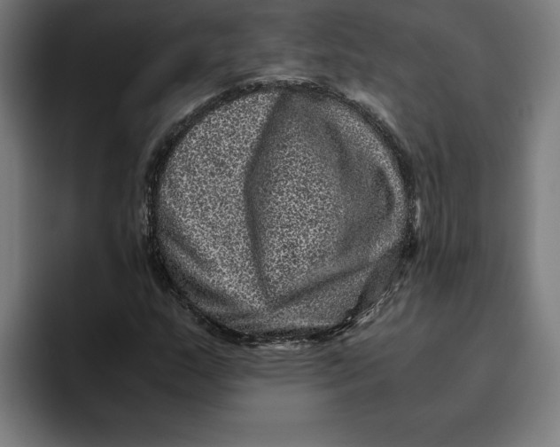 X0000094821159200712071240