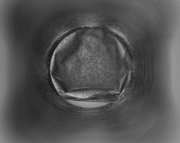 X0000094821160200712071240