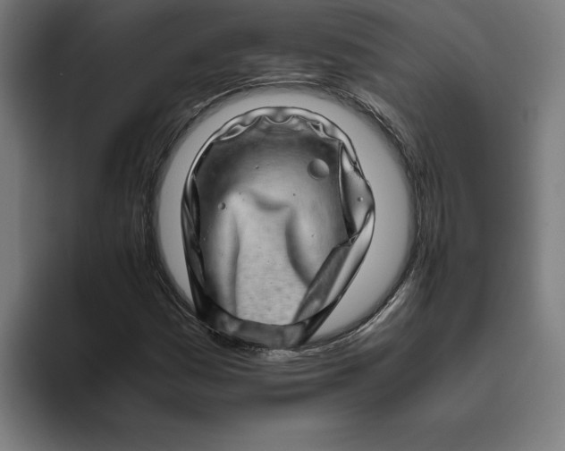 X0000094821161200712071240