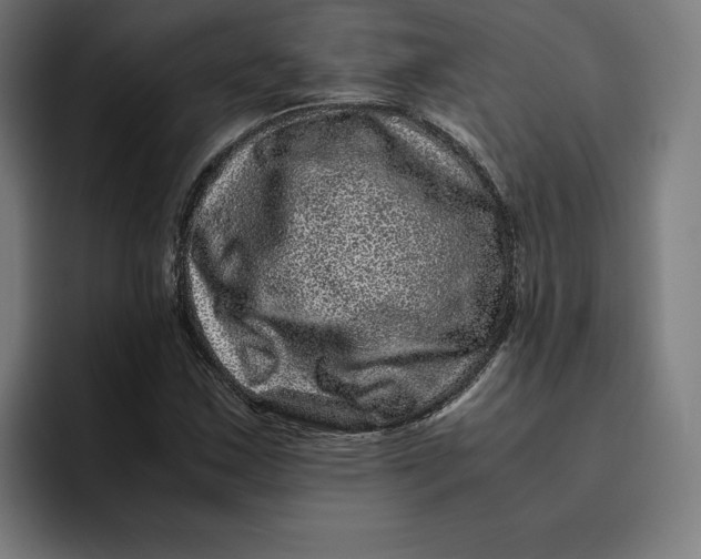 X0000094821163200712071240