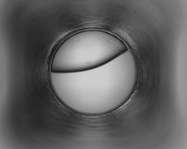 X0000094821164200712071240