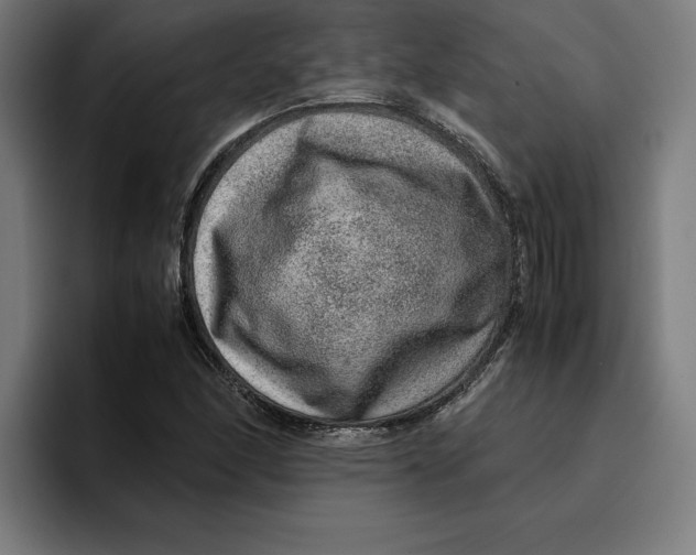 X0000094821166200712071240