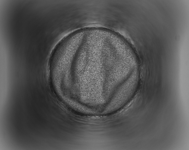 X0000094821167200712071240