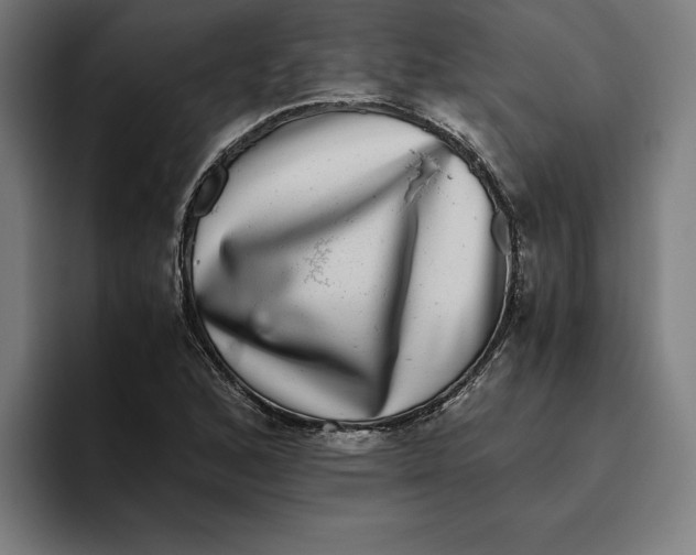 X0000094821168200712071240