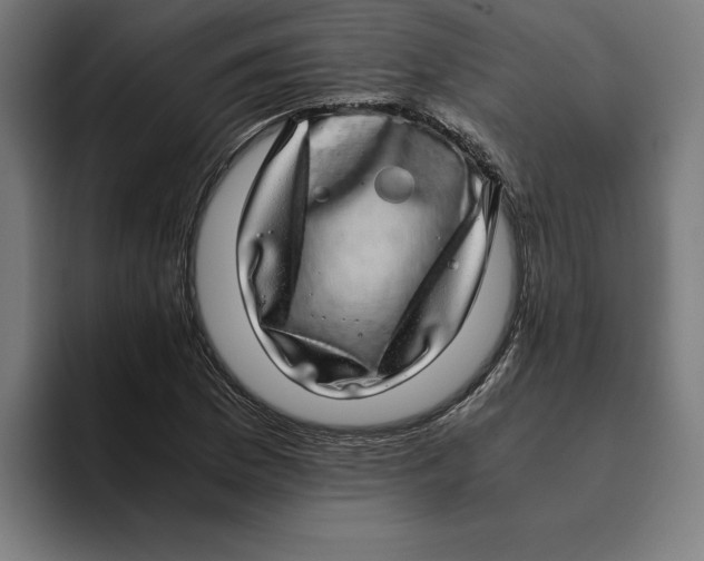 X0000094821169200712071240