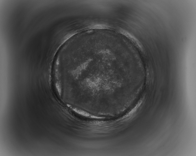 X0000094821170200712071240