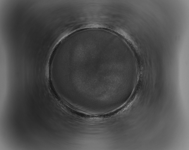 X0000094821173200712071240