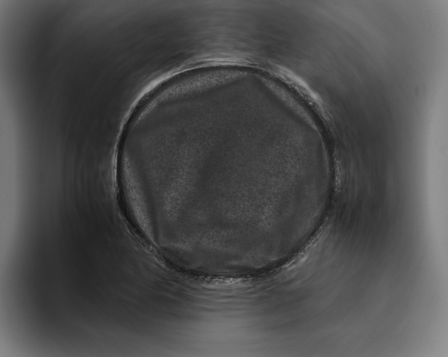 X0000094821174200712071240