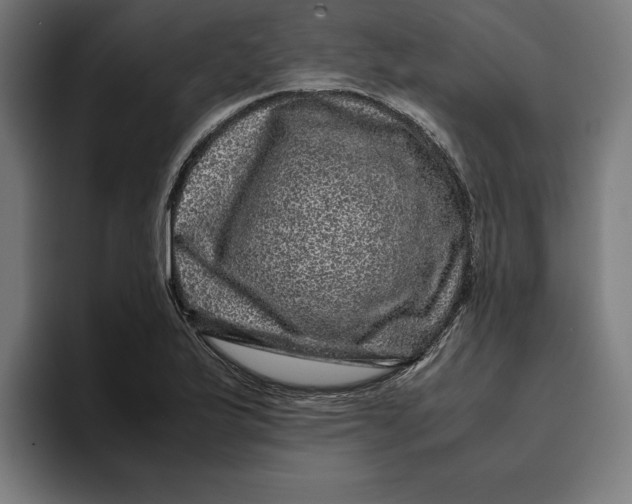 X0000094821175200712071240