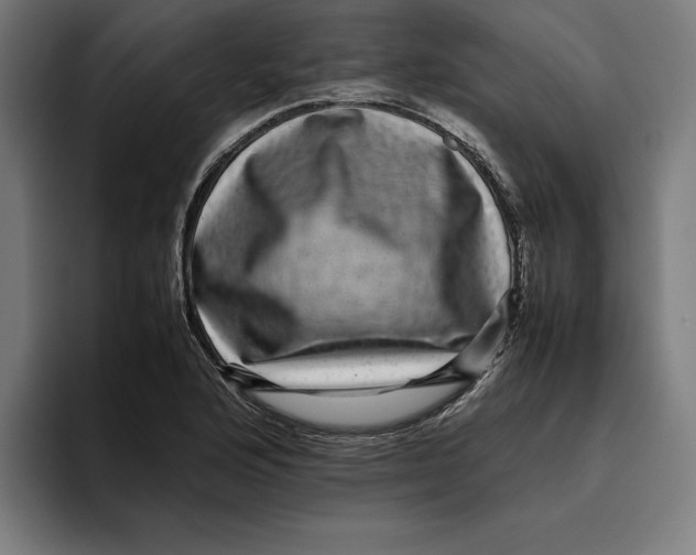 X0000094821176200712071240