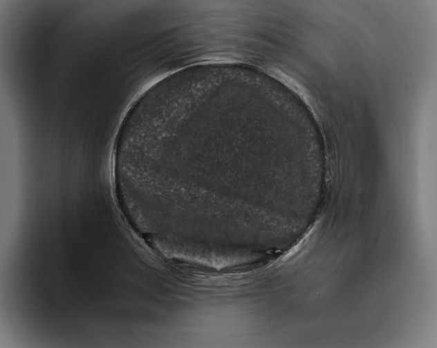 X0000094821179200712071240