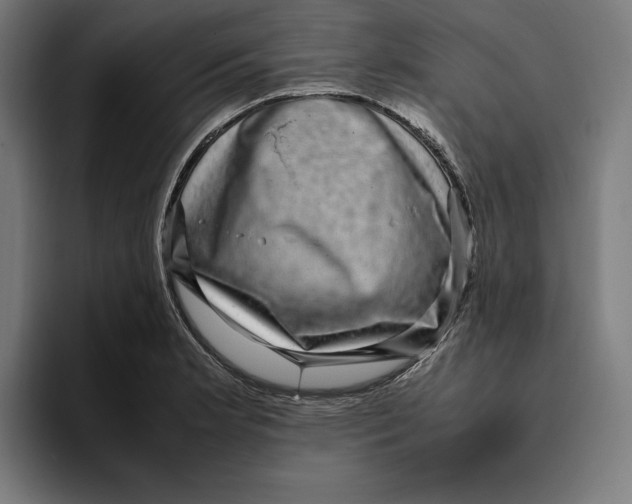 X0000094821181200712071240