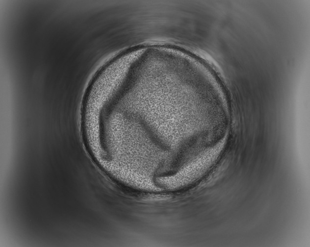 X0000094821183200712071240