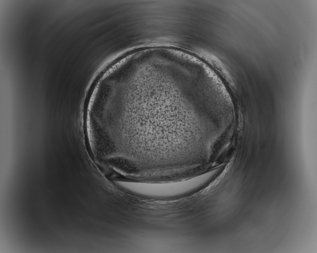 X0000094821184200712071240