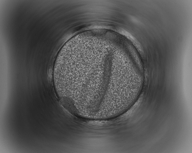 X0000094821185200712071240