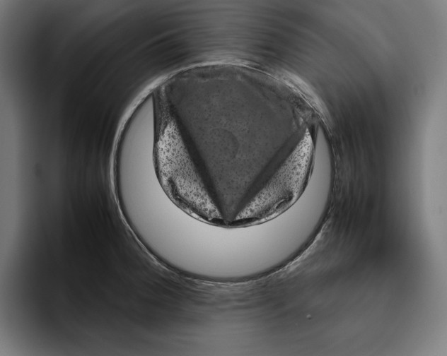 X0000094821188200712071239