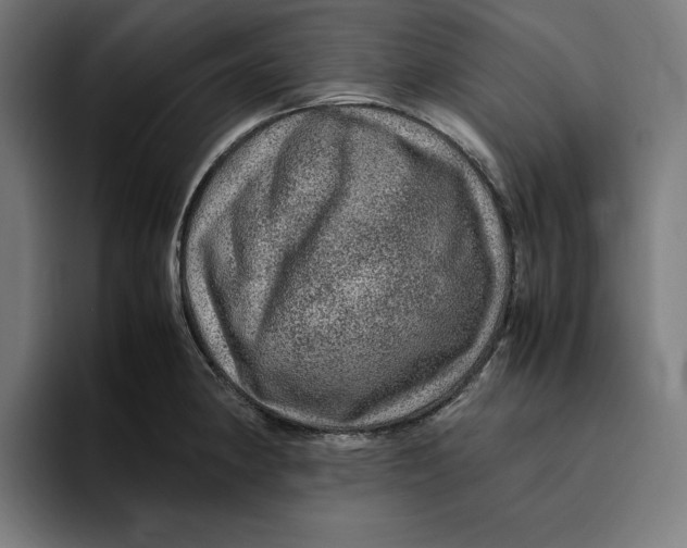 X0000094821190200712071239