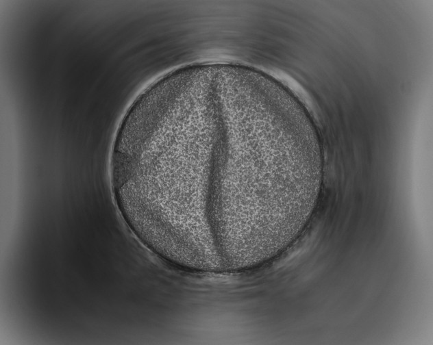 X0000094821191200712071239