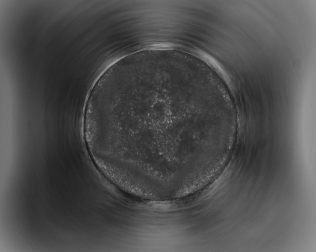 X0000094821194200712071239