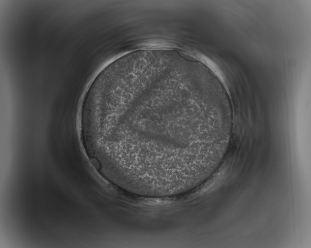 X0000094821195200712071239