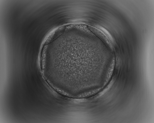 X0000094821196200712071239