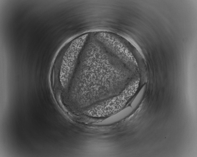 X0000094821197200712071239