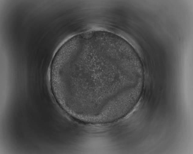 X0000094821198200712071239