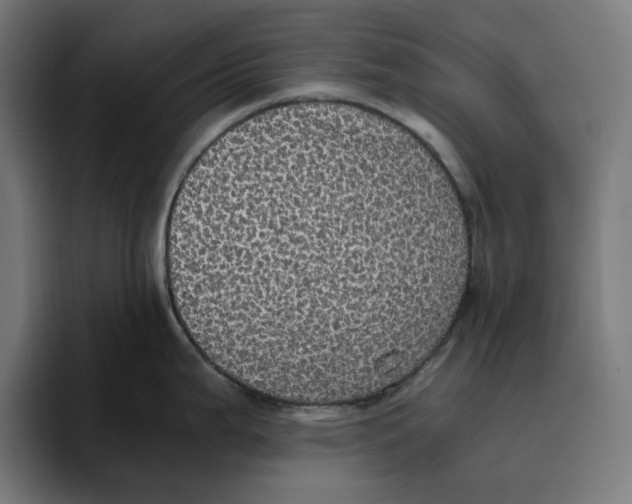 X0000094821199200712071239